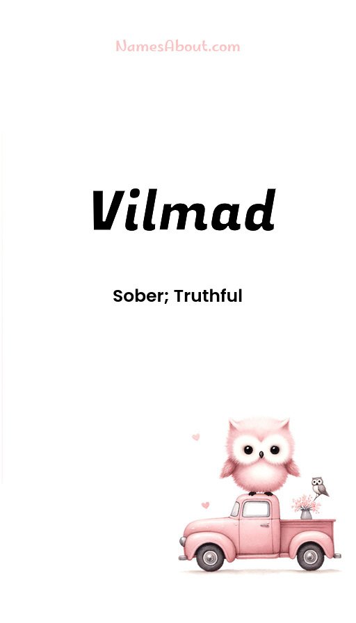 Meaning of Vilmad