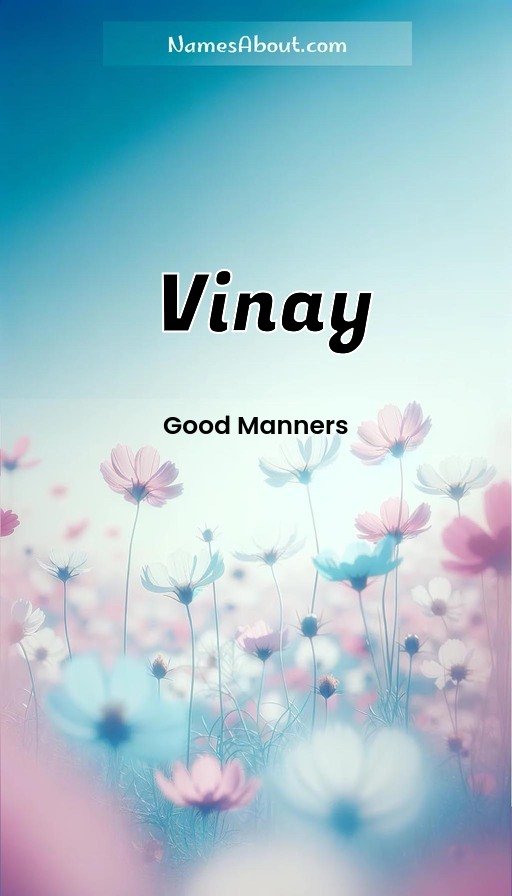 Meaning of Vinay