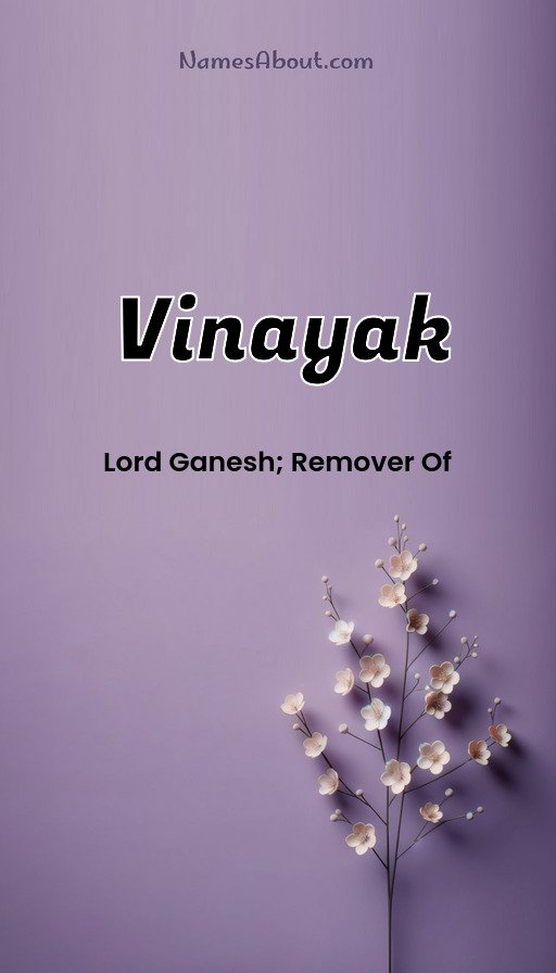 Meaning of Vinayak