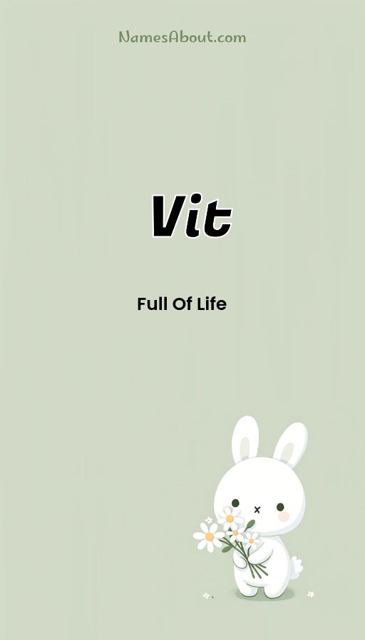 Meaning of Vit