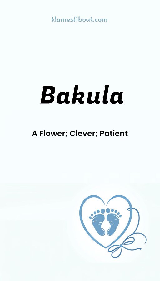 Meaning of Bakula