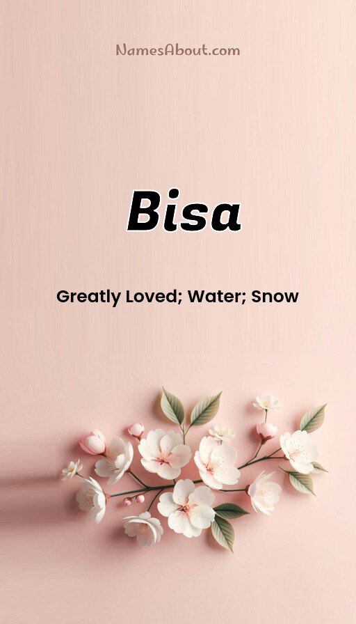 Meaning of Bisa