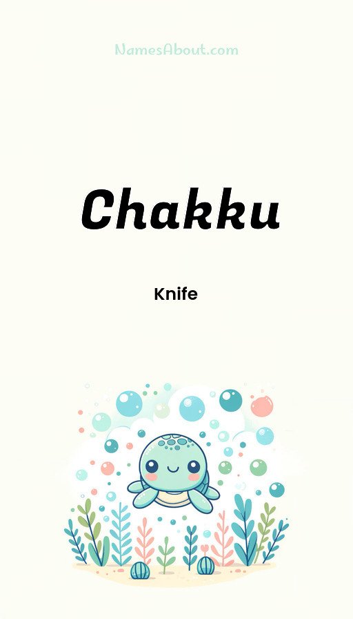 Meaning of Chakku