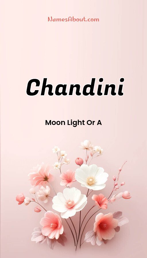 Meaning of Chandini