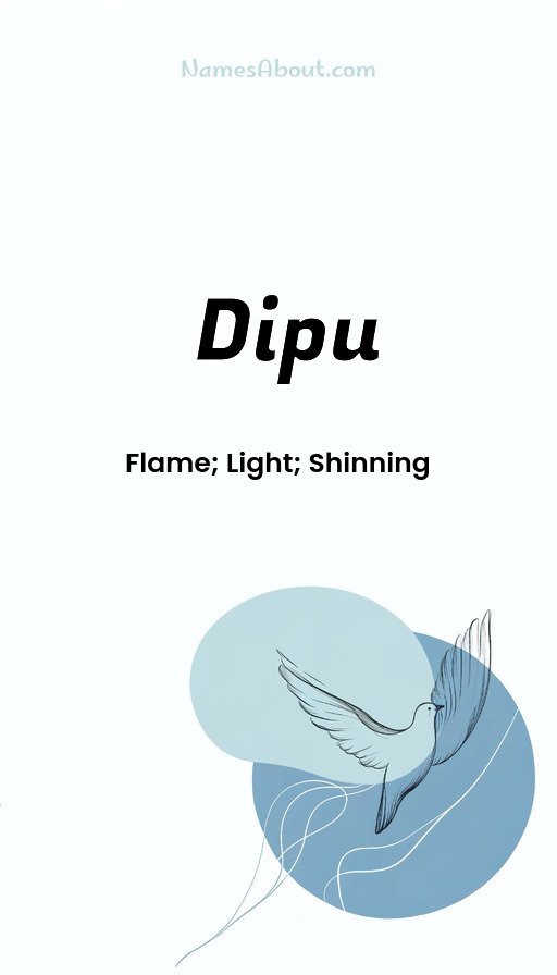 Meaning of Dipu