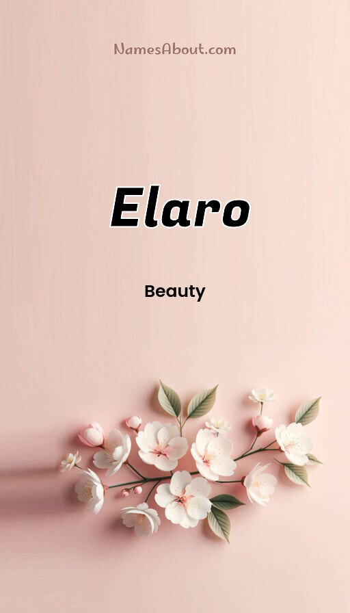 Meaning of Elaro