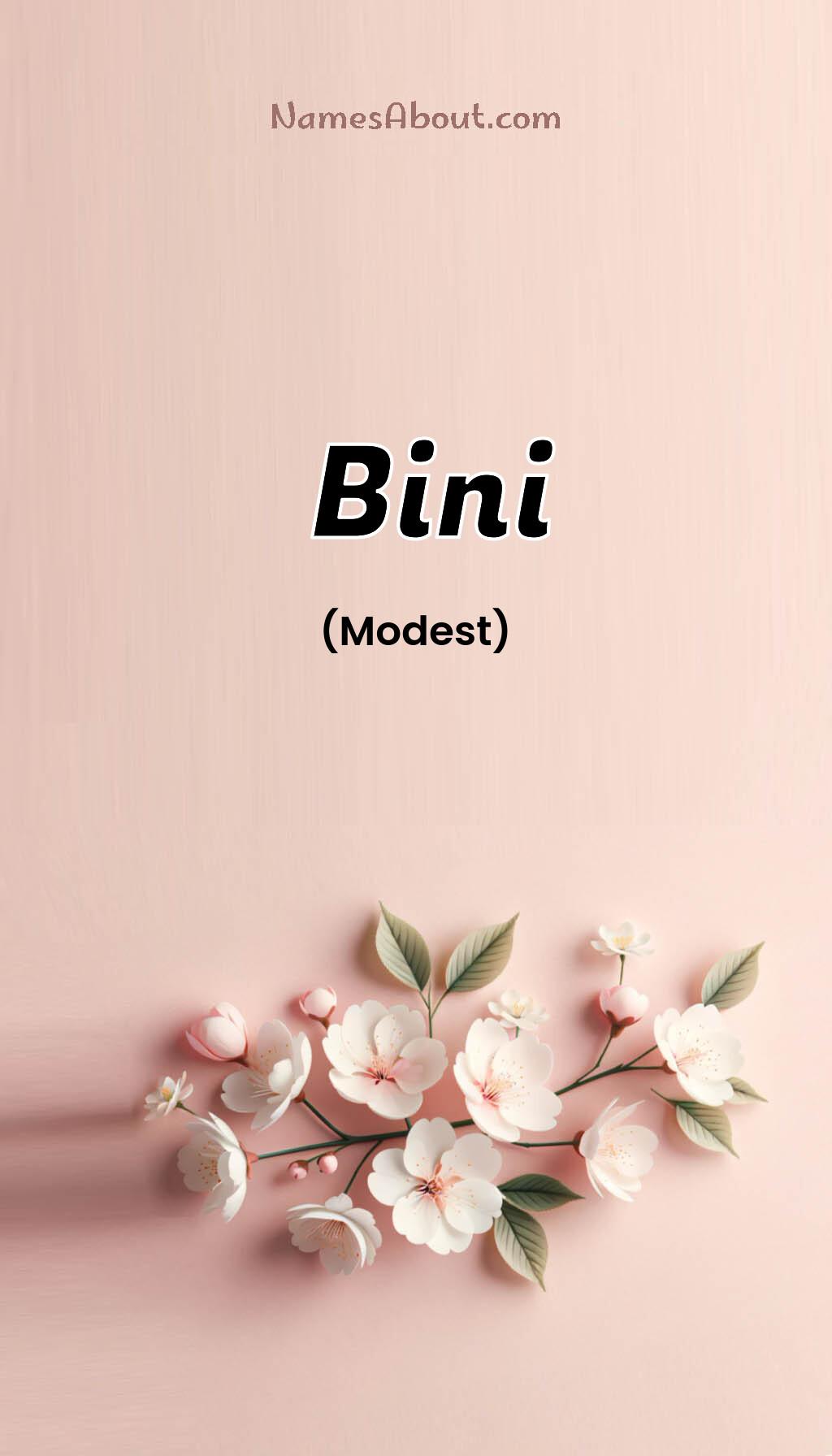 Bini name meaning, Meaning of Bini, Bini name origin, Bini name personality, Bini name numerology, Bini name significance, Bini name lucky number, Bini name traits, Popularity of Bini name, Spiritual meaning of Bini, Unique name Bini meaning