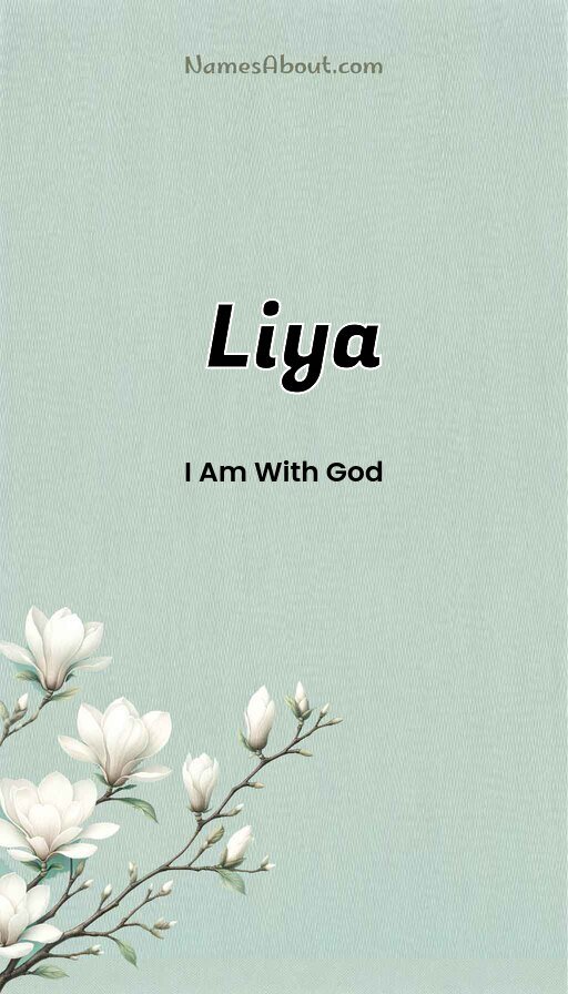 Meaning of Liya