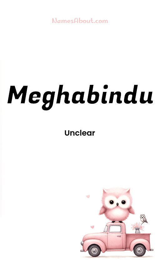 Meaning of Meghabindu