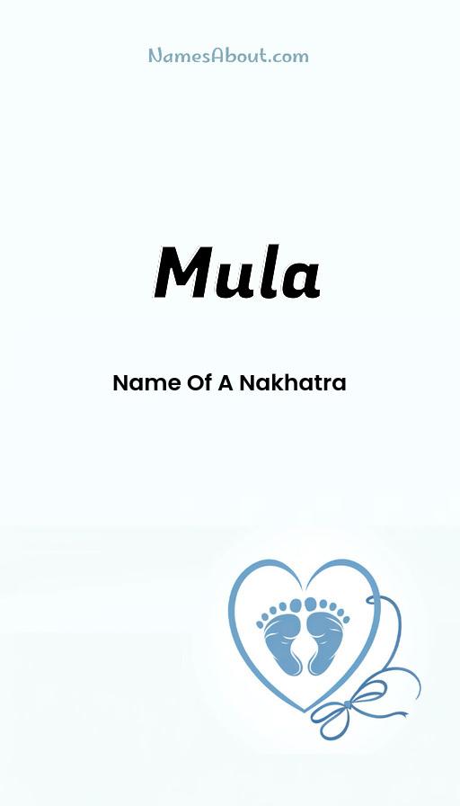 Illustration of Mula