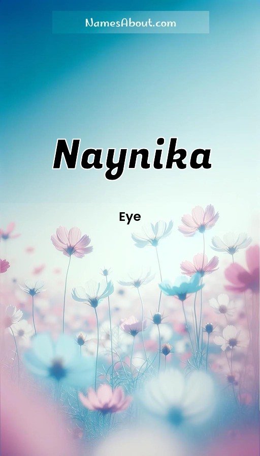 Meaning of Naynika