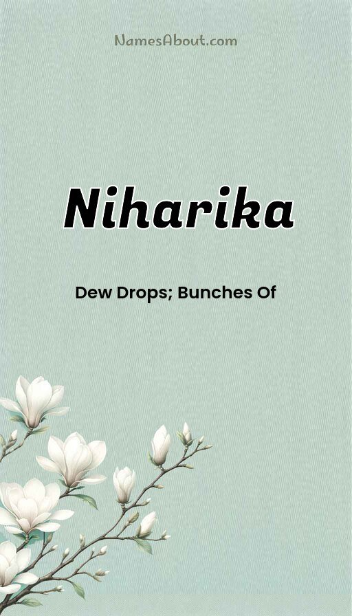 Meaning of Niharika