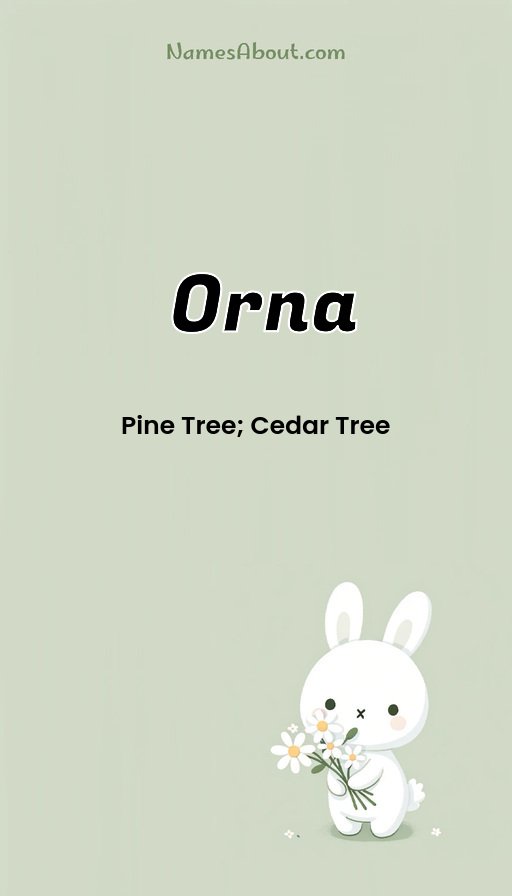 Meaning of Orna