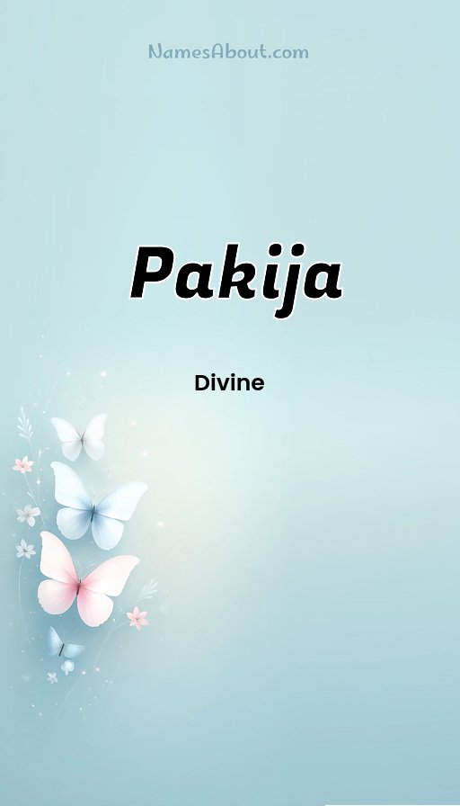 Meaning of Pakija