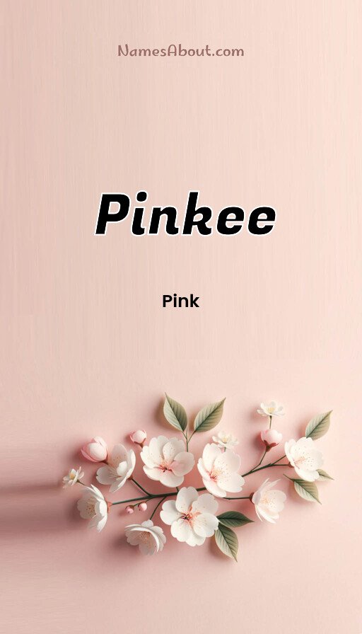 Meaning of Pinkee
