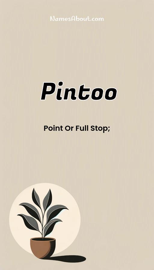 Meaning of Pintoo