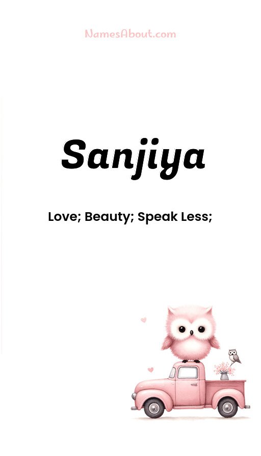 Meaning of Sanjiya
