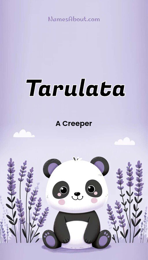 Meaning of Tarulata