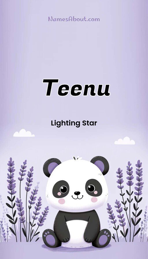Meaning of Teenu