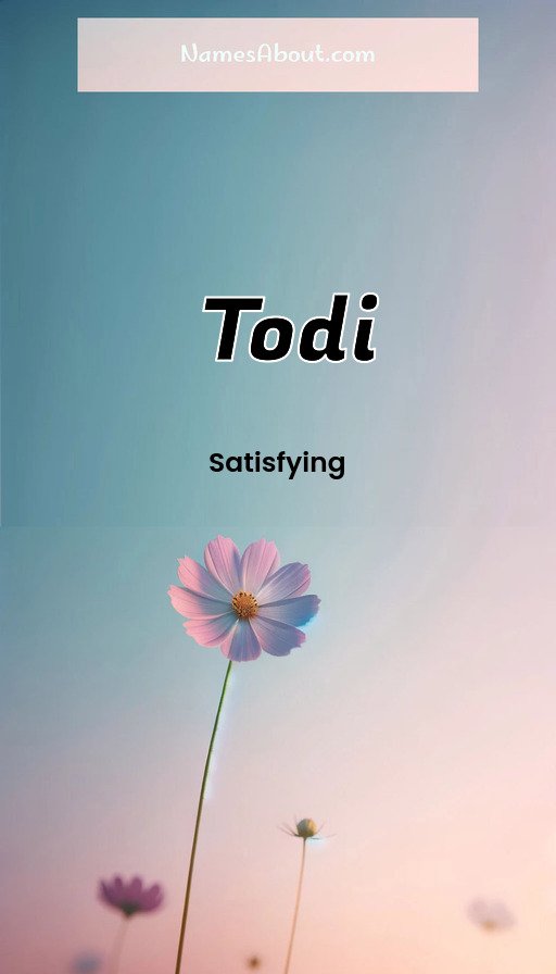 Meaning of Todi
