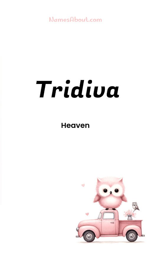 Meaning of Tridiva