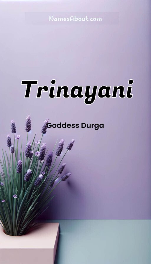 Meaning of Trinayani