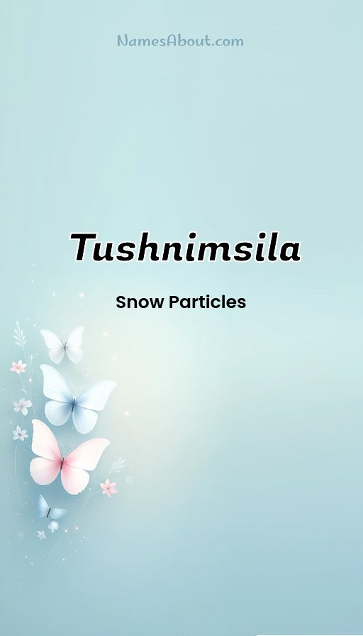 Meaning of Tushnimsila