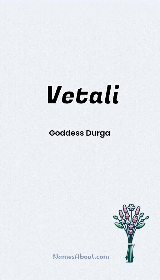 Meaning of Vetali