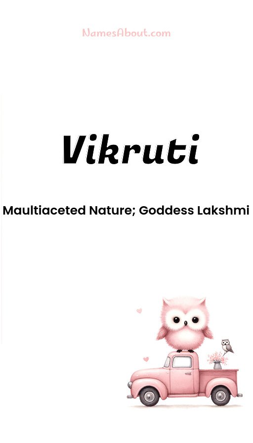 Meaning of Vikruti