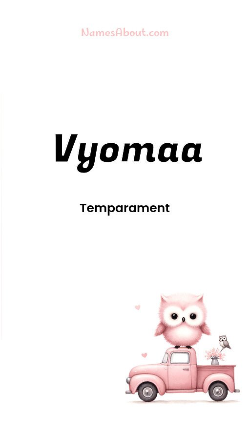 Meaning of Vyomaa