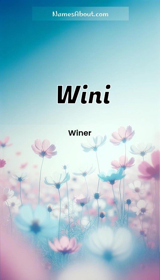 Meaning of Wini