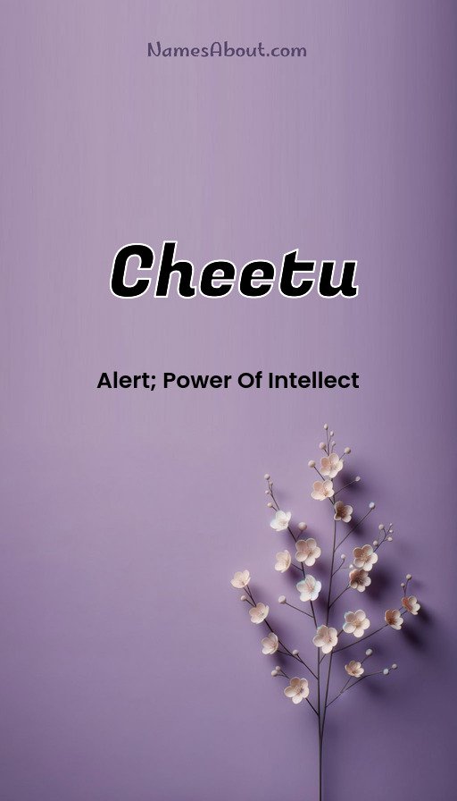 Meaning of Cheetu