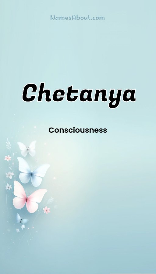 Meaning of Chetanya