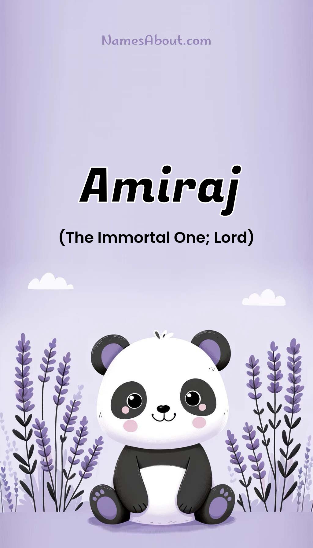 Amiraj name and meaning