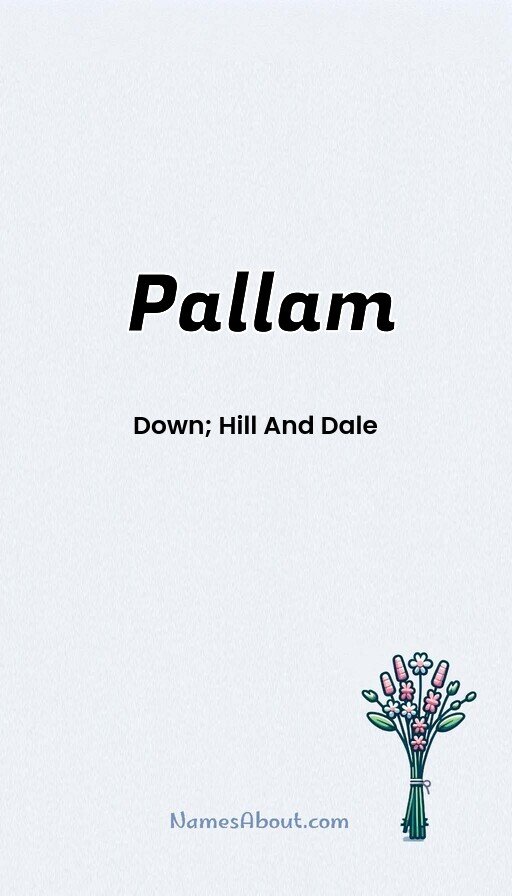 Meaning of Pallam