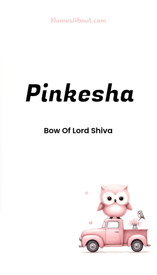 Meaning of Pinkesha