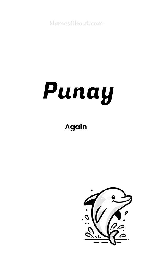 Punay name and meaning