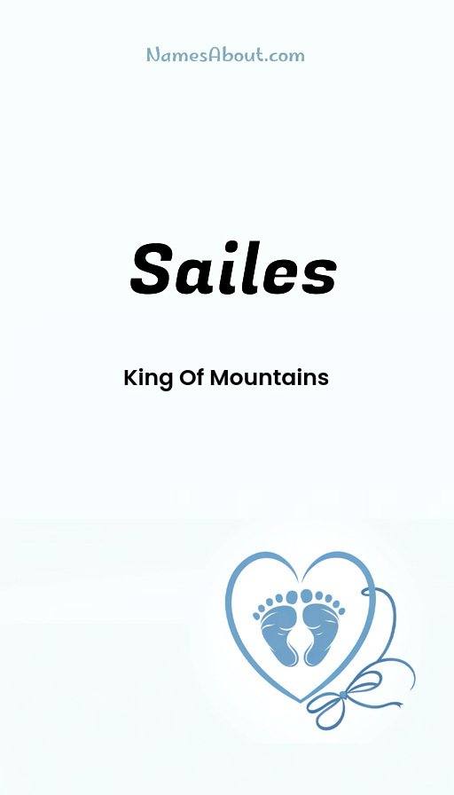 Meaning of Sailes