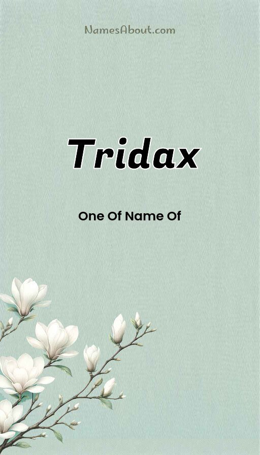 Meaning of Tridax