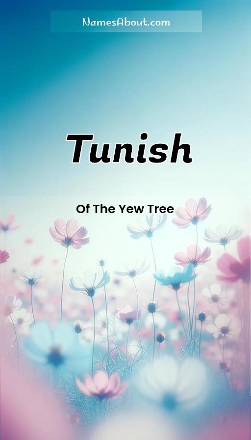 Meaning of Tunish