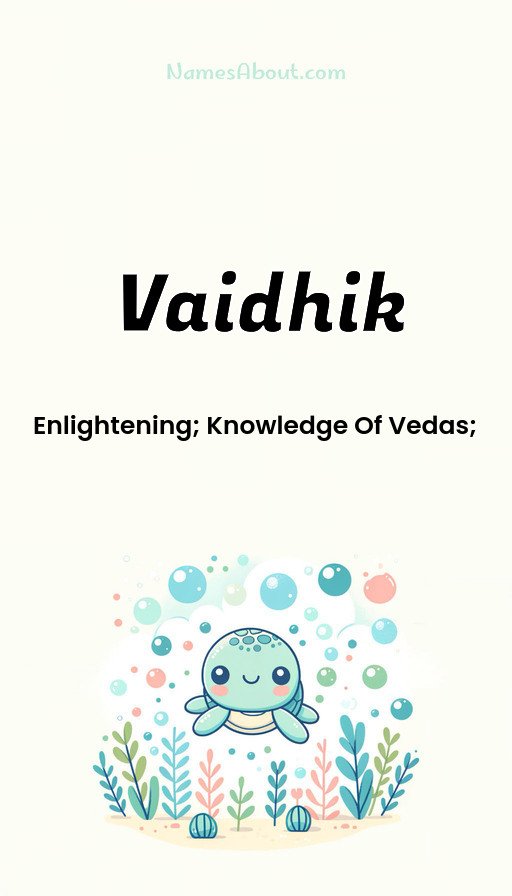 Meaning of Vaidhik