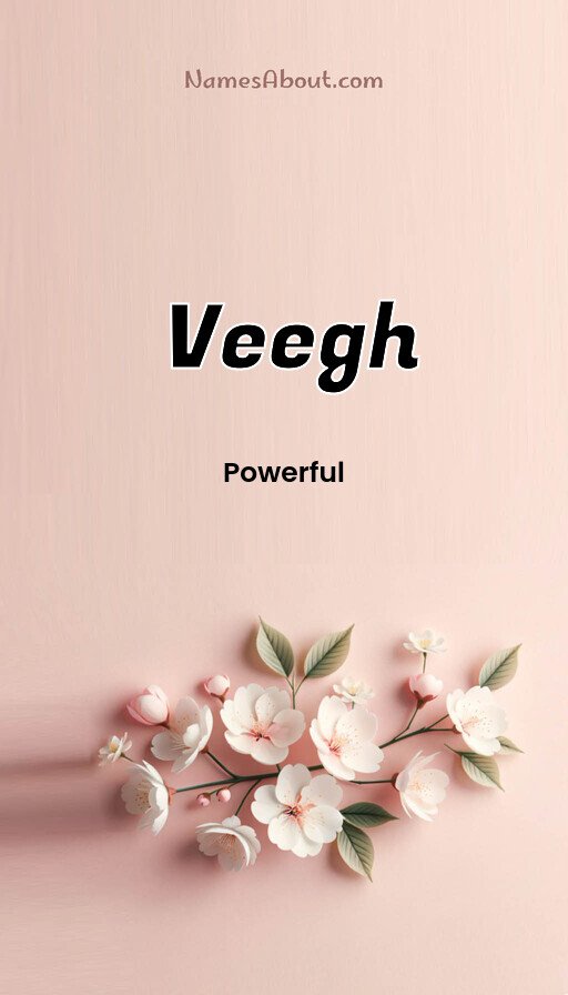 Meaning of Veegh