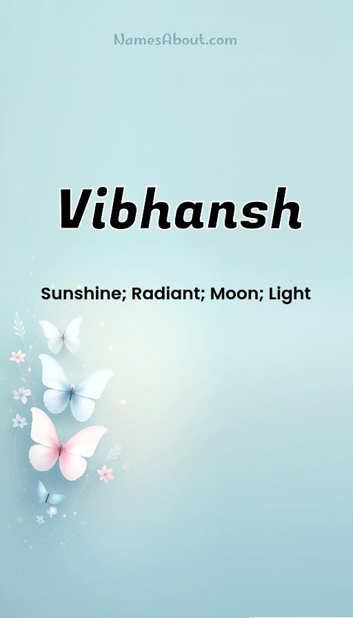 Meaning of Vibhansh