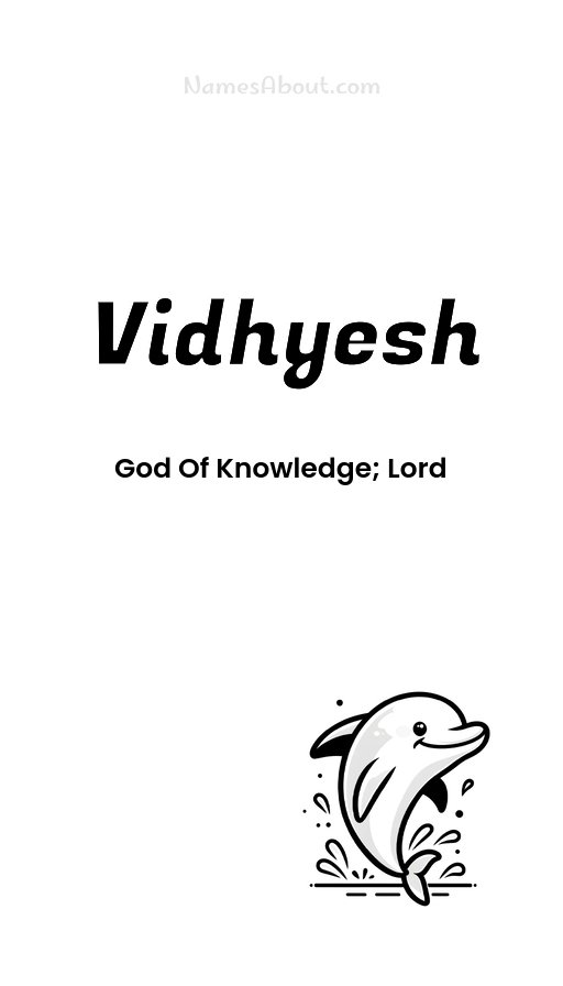 Meaning of Vidhyesh