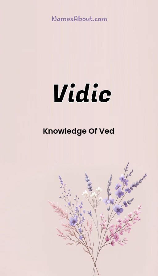 Meaning of Vidic