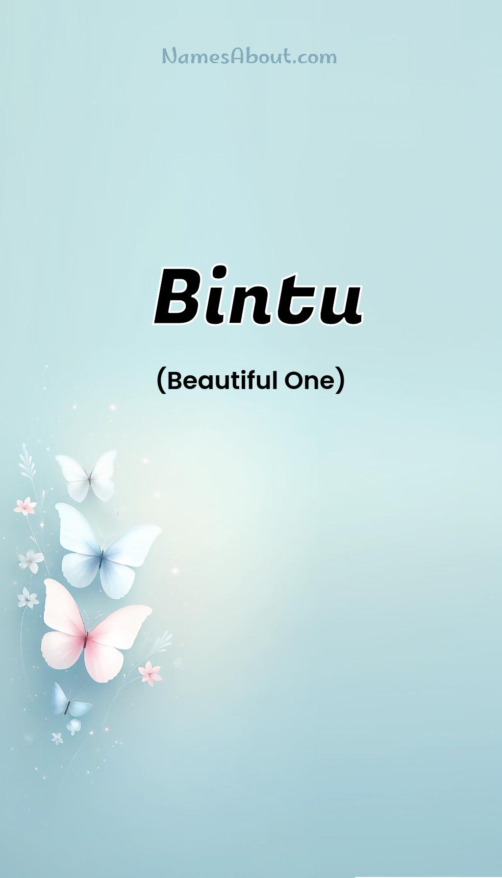 Bintu name meaning, Meaning of Bintu, Bintu name origin, Bintu name personality, Bintu name numerology, Bintu name significance, Bintu name lucky number, Bintu name traits, Popularity of Bintu name, Spiritual meaning of Bintu, Unique name Bintu meaning