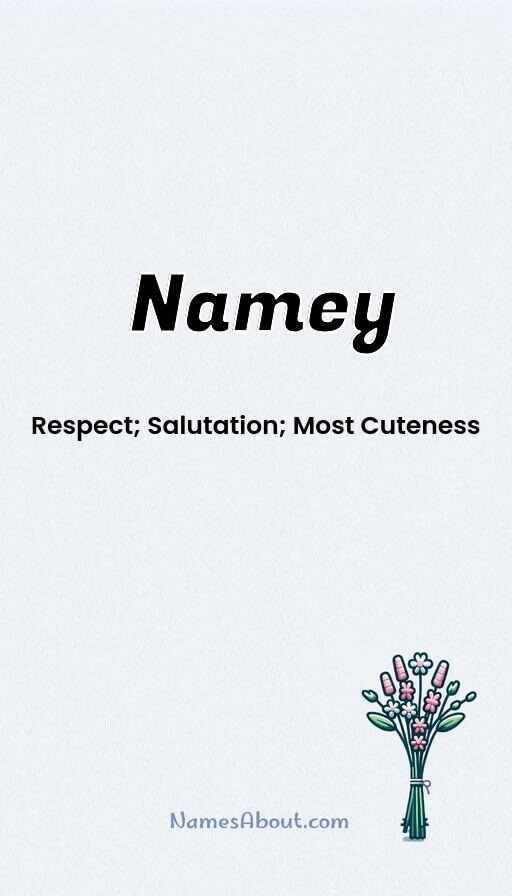 Namey name and meaning