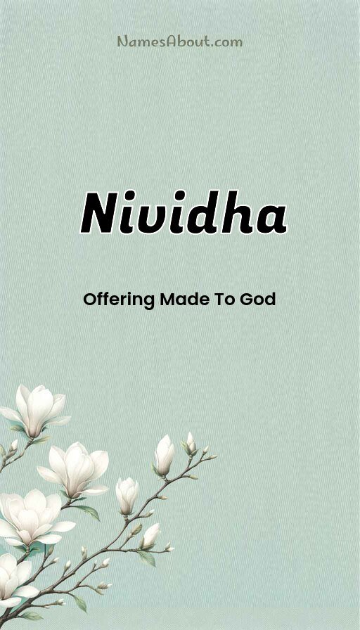 Meaning of Nividha