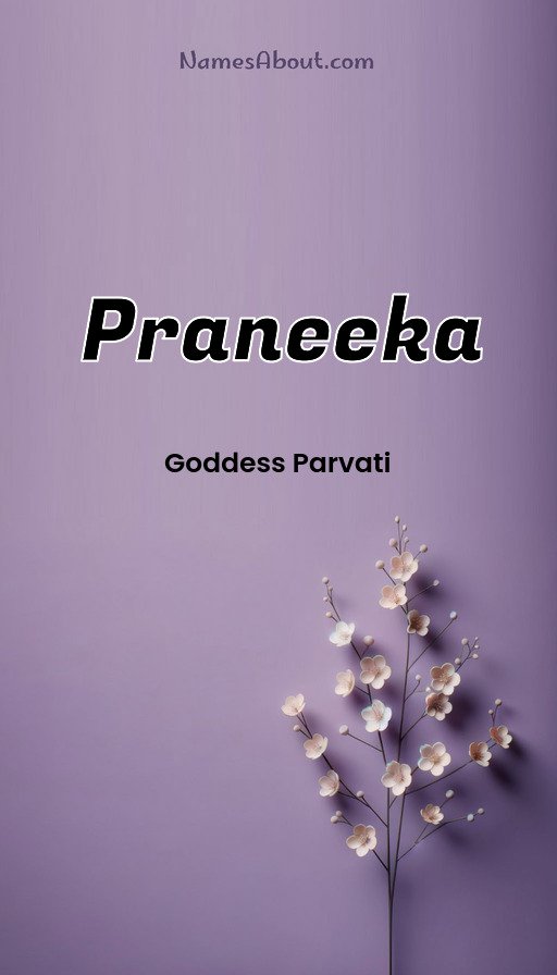 Meaning of Praneeka