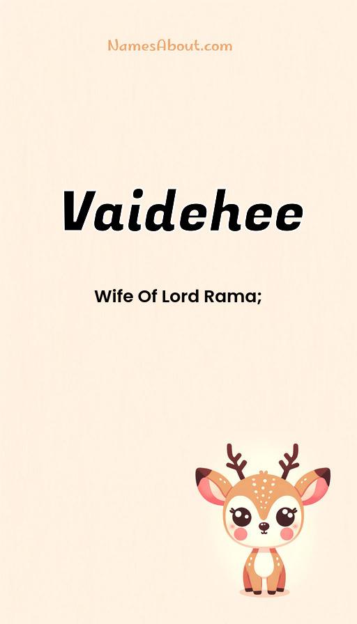 Illustration of Vaidehee